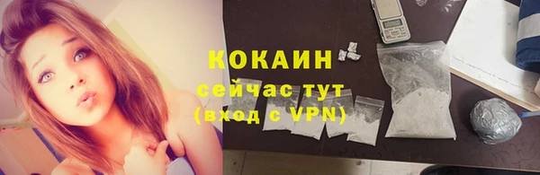 ECSTASY Алзамай
