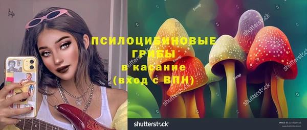ECSTASY Алзамай