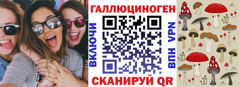 купить закладку  Набережные Челны  Псилоцибиновые грибы GOLDEN TEACHER 